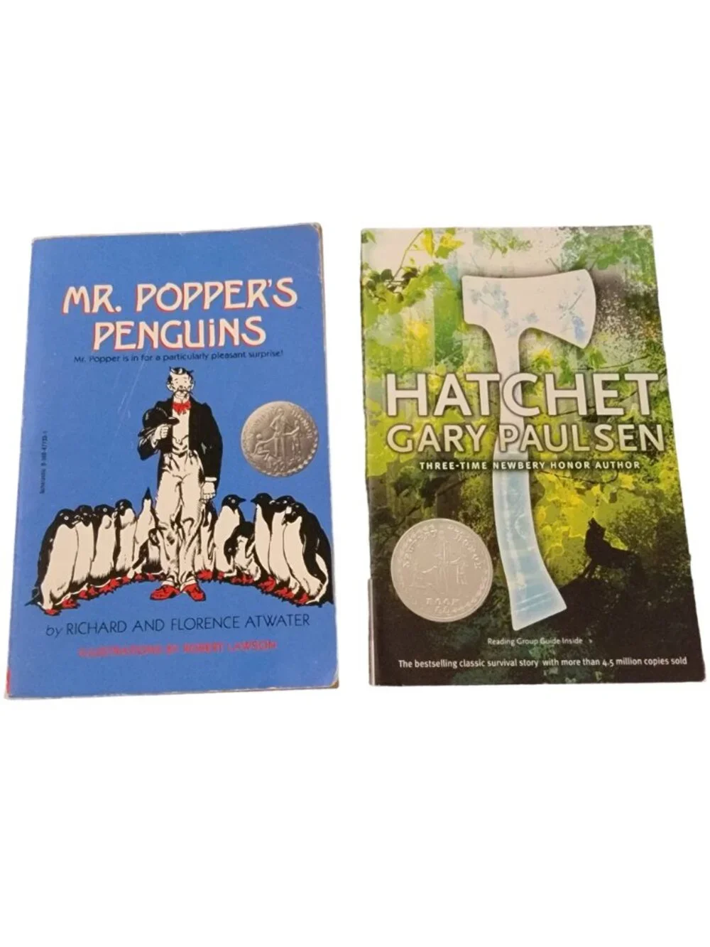 Award Winners Chapter Book Lot Children Kid Learning Read Teacher School Library